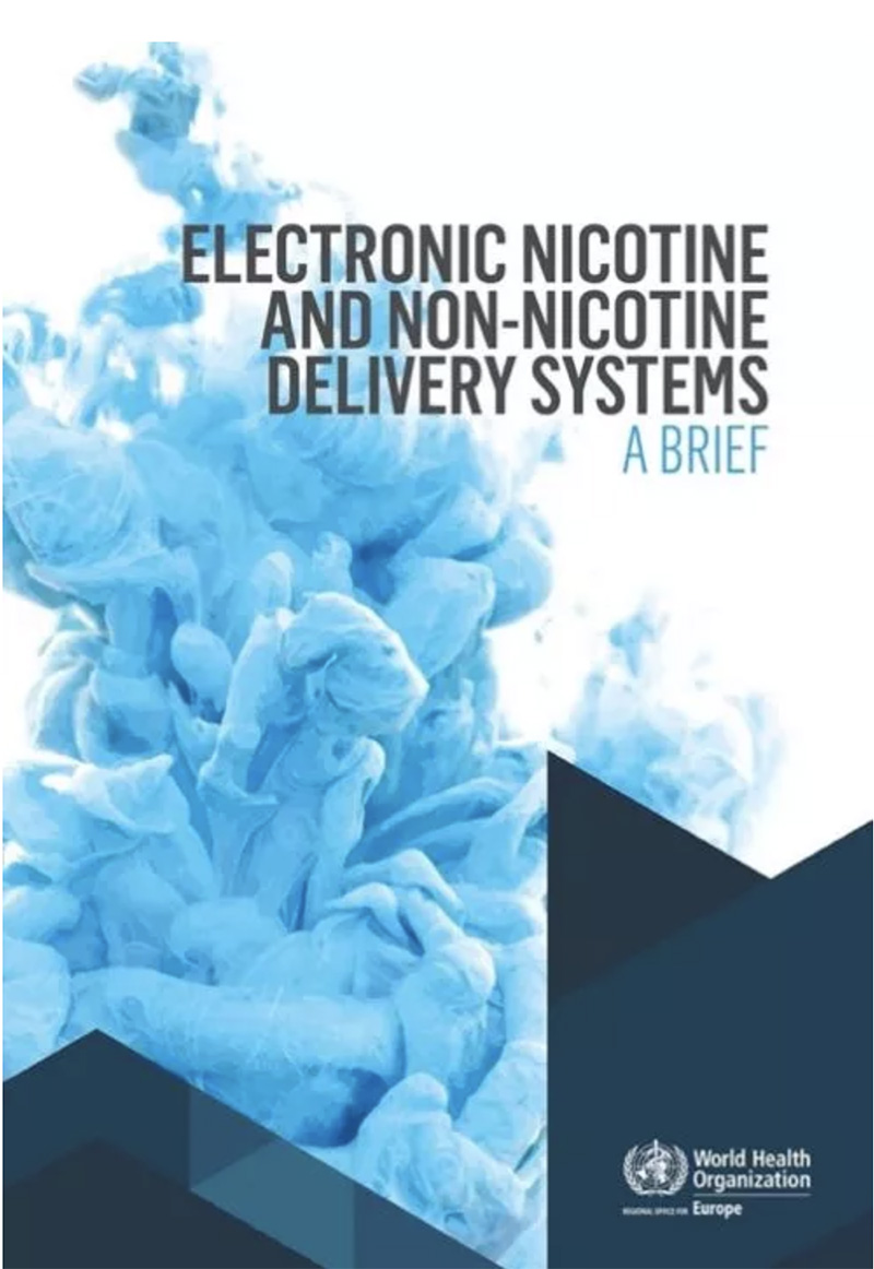 Annual inventory of the electronic cigarette industry2020 img3
